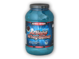 Actions Whey Gainer 4500g